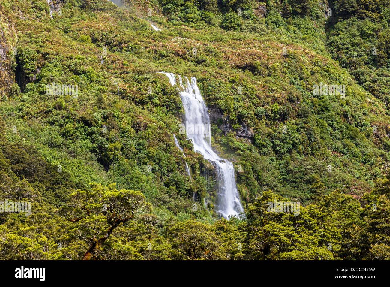 Fiordland Nationalpark Neuseeland Stockfoto