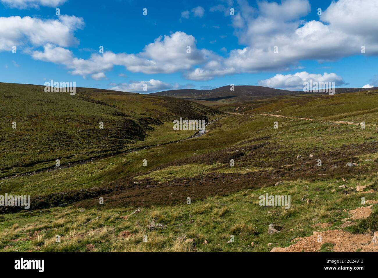 Ein Blick auf Glen Dye zum Mount Battock. Stockfoto