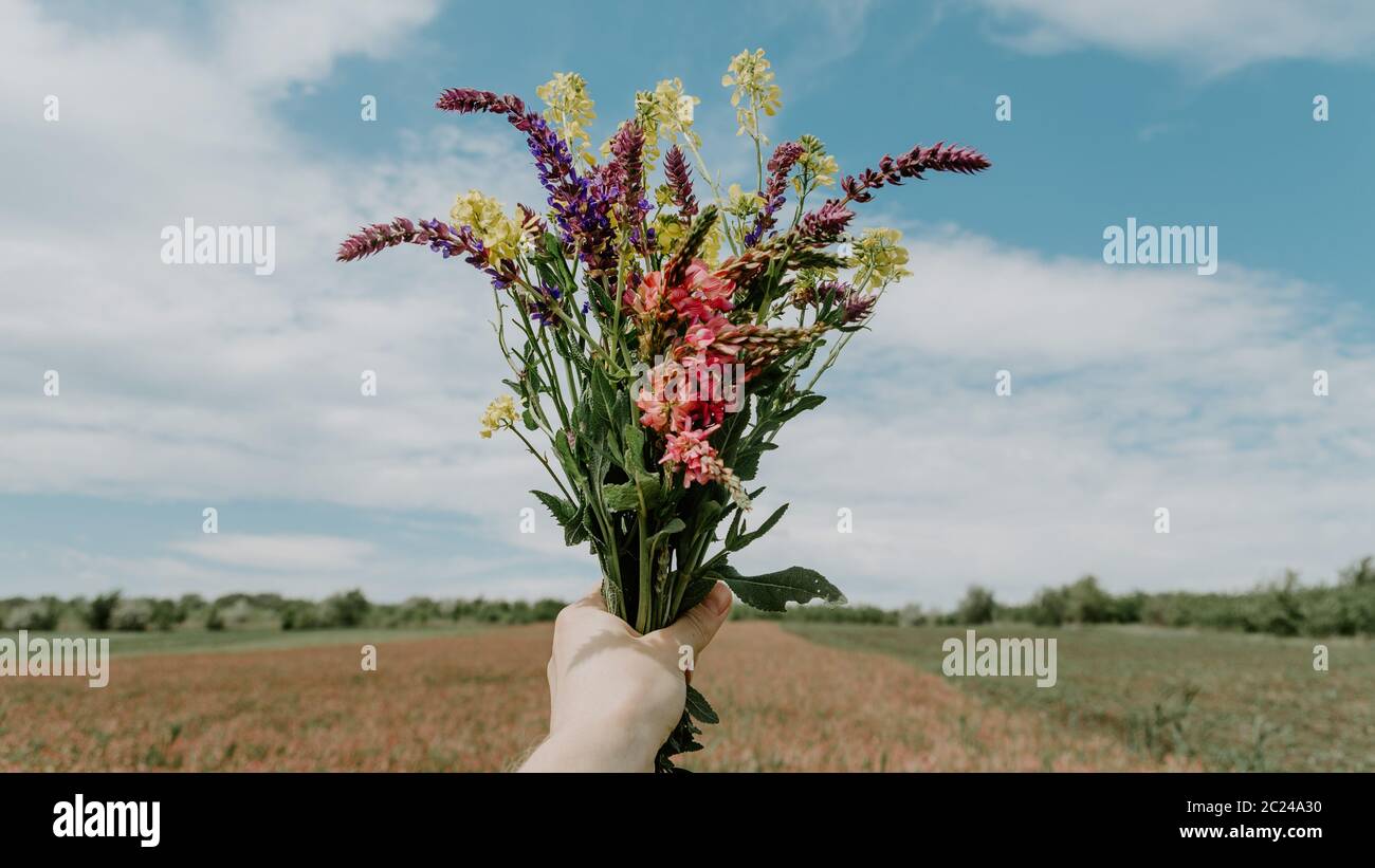 Hand hält einen bunten Wildblumenstrauß gegen blauen Himmel Stockfoto