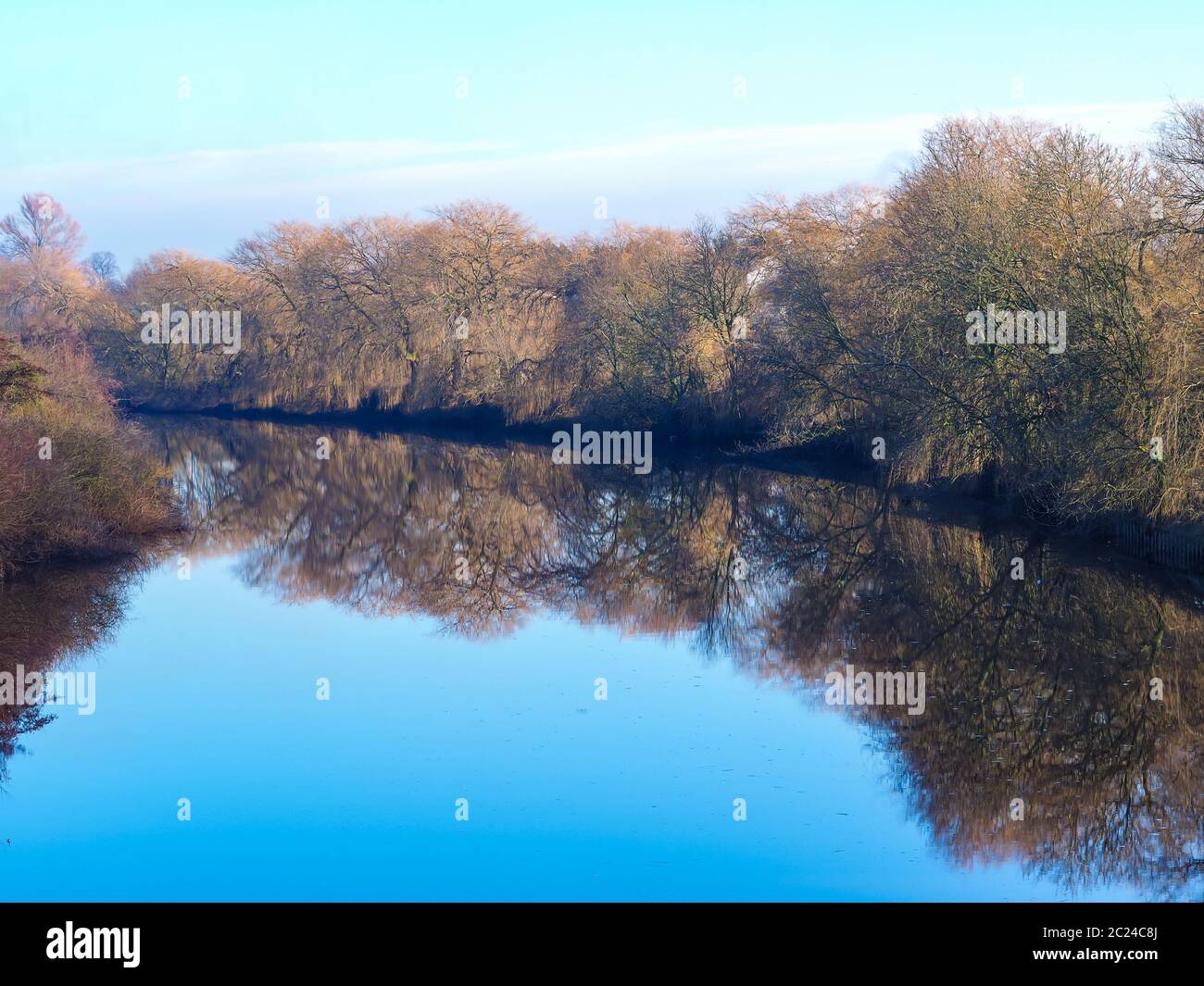 Bäume und ein blauer Himmel spiegeln sich im Winter im Wasser des Flusses Ouse in der Nähe von York, England Stockfoto