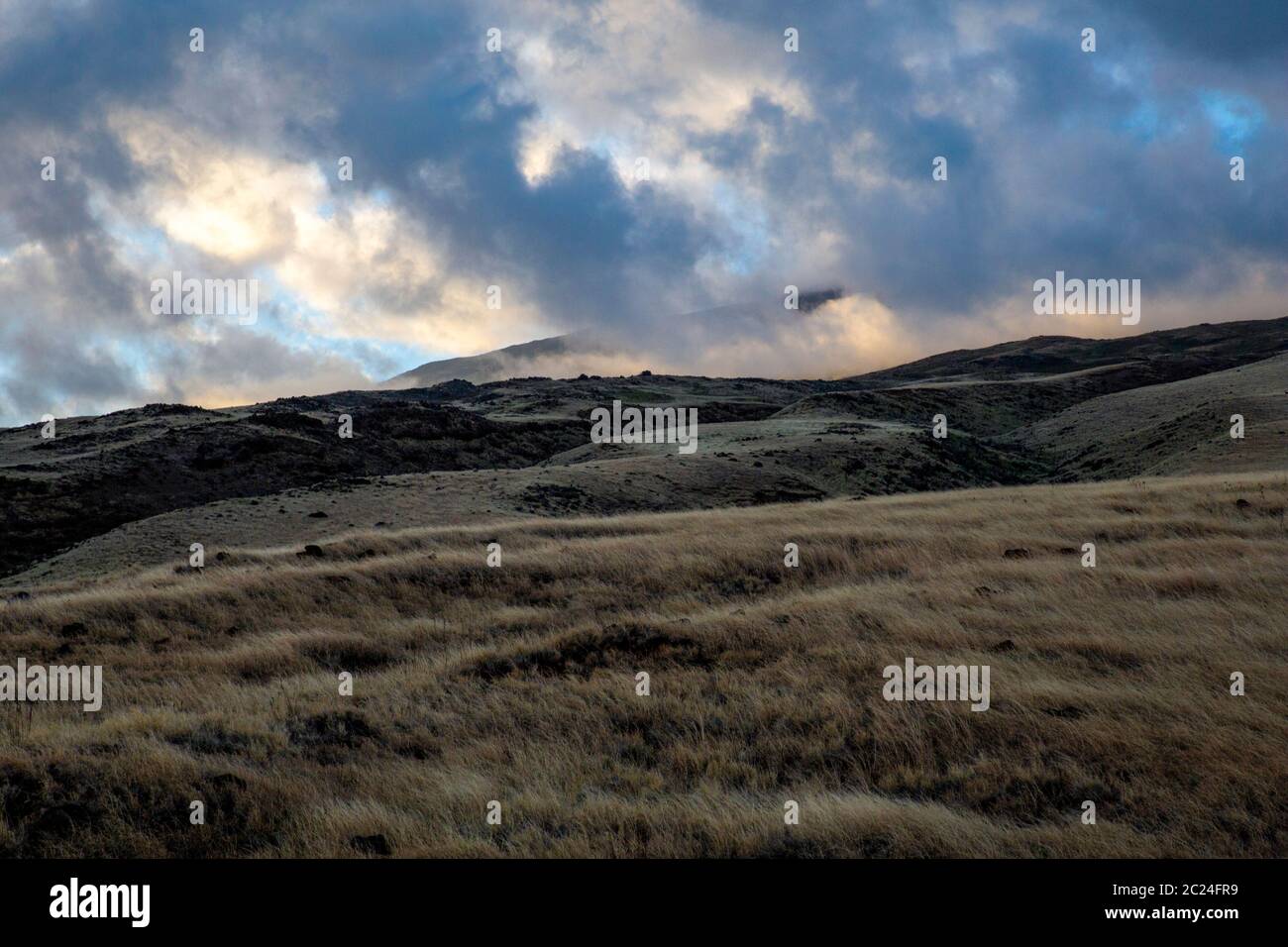 Weite Ebene mit Grasland von ausgestorbenen Lavafeldern in Hawaii Stockfoto
