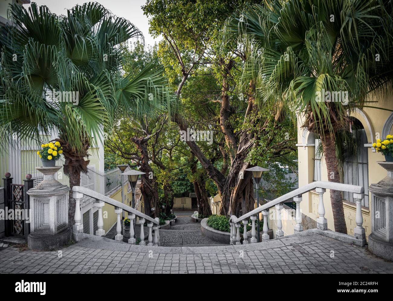 Calcada do Carmo im portugiesischen Kolonialstil Gasse in der Altstadt von Taipa Macau China Stockfoto