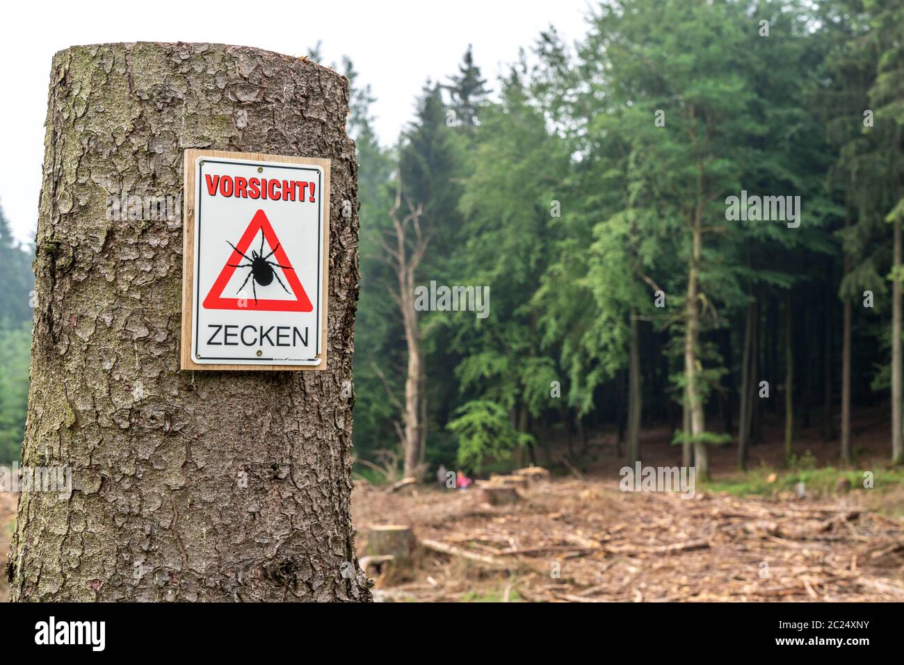 Warnschild für Zecken, im Arnsberger Wald, bei Hirschberg, Sauerland, NRW, Deutschland Stockfoto