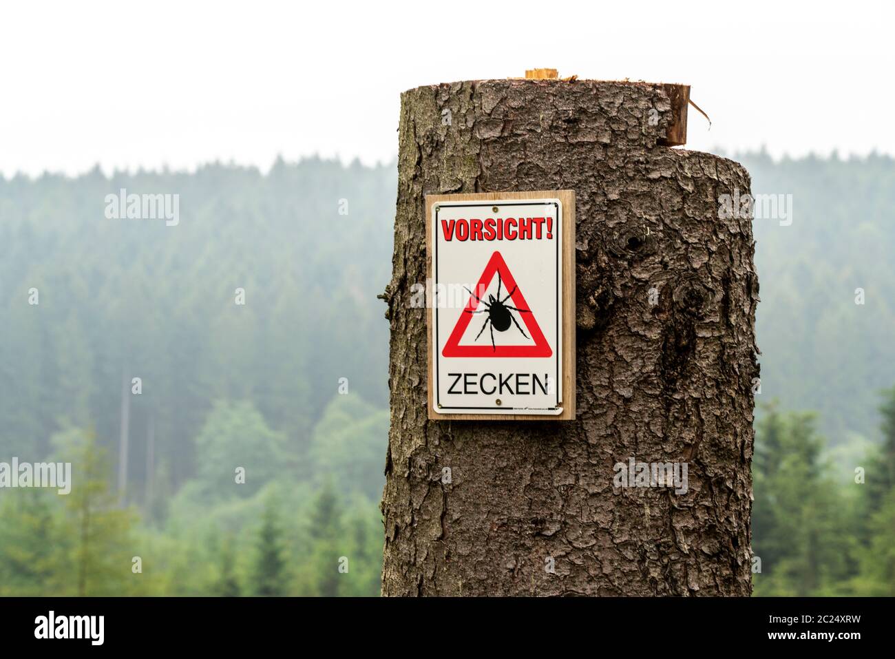 Warnschild für Zecken, im Arnsberger Wald, bei Hirschberg, Sauerland, NRW, Deutschland Stockfoto