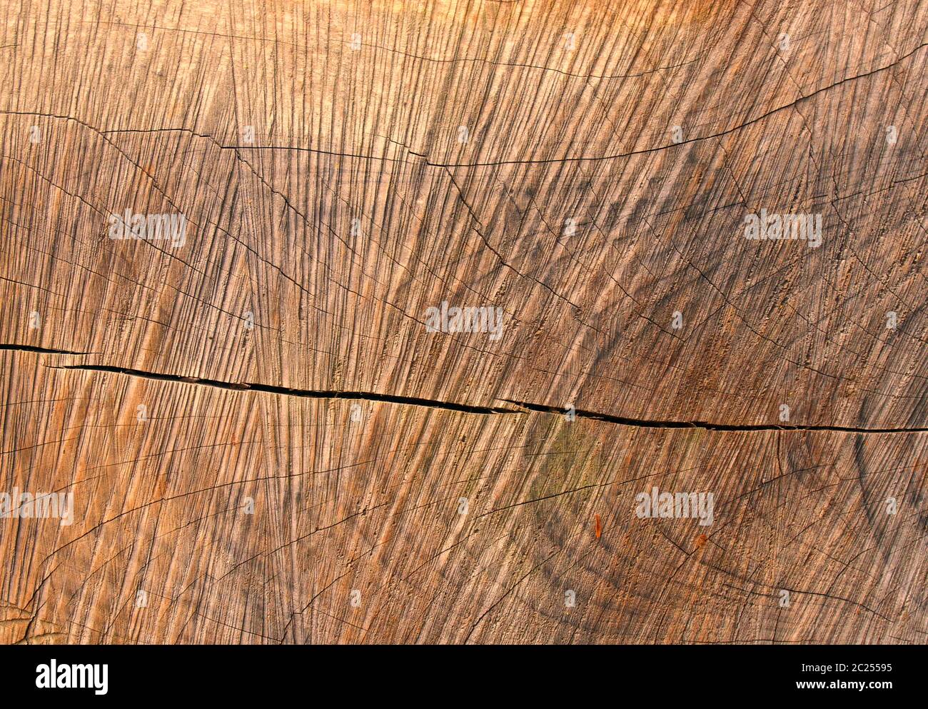 Rauh geschnittene braune Holzoberfläche mit gemusterter zerkratzter Oberfläche über der natürlichen Maserung und Riss Stockfoto