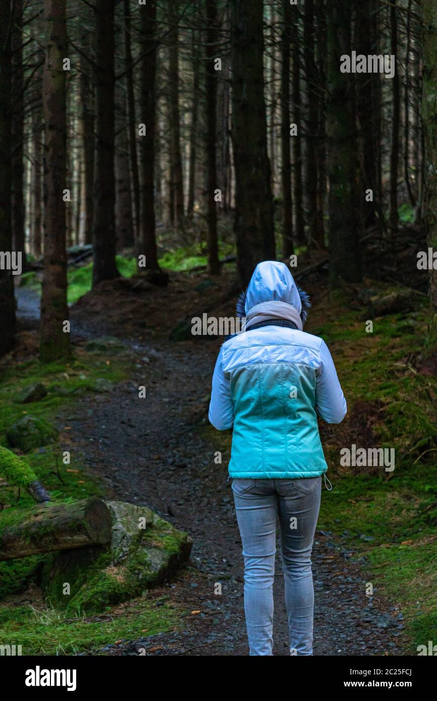 Rückansicht einer jungen Frau beim Wandern im irischen Wald. Wandermädchen ist in düsteren mystischen und dunklen Wald zu Fuß - Thriller-Szene. Weitwinkelobjektiv, wählen Sie Stockfoto