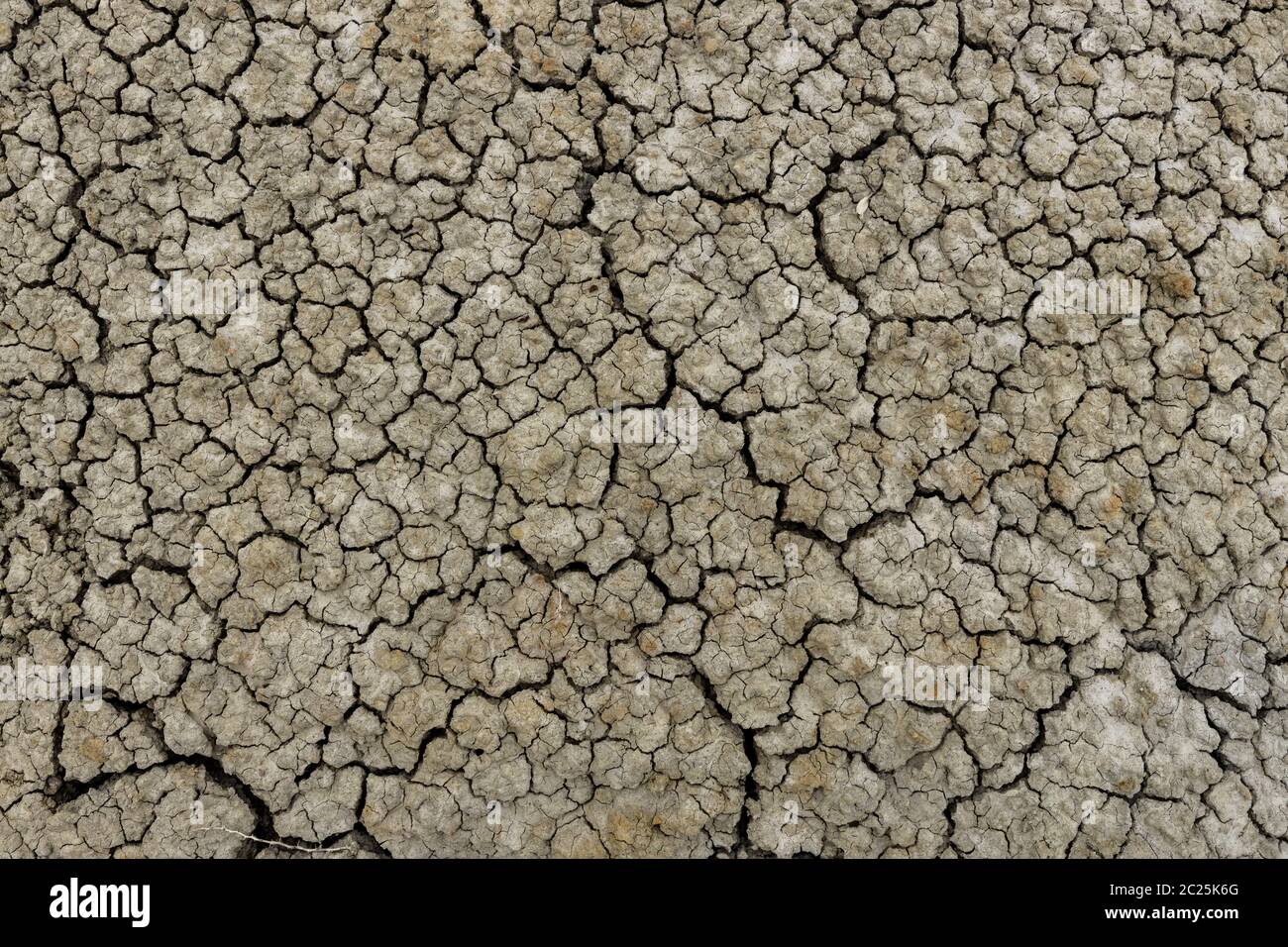 Trockener Boden der globalen Erwärmung Stockfoto