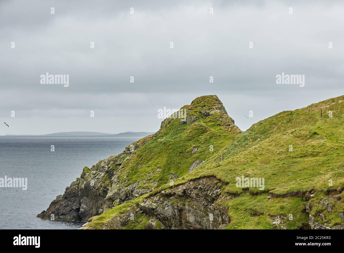 Blick auf die Küste in Richtung Knab in Lerwick, dem Haupthafen der Shetland Isles, Schottland. Stockfoto
