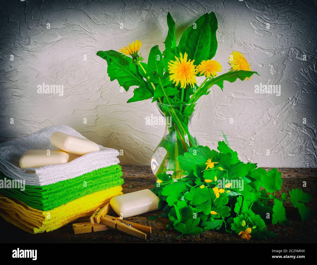 Blumen Schöllkraut, Spa Stockfoto