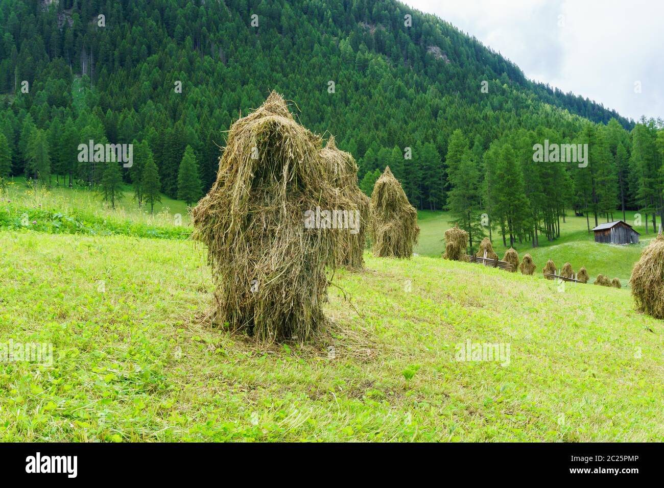 Heuhaufen auf einem Feld Stockfoto