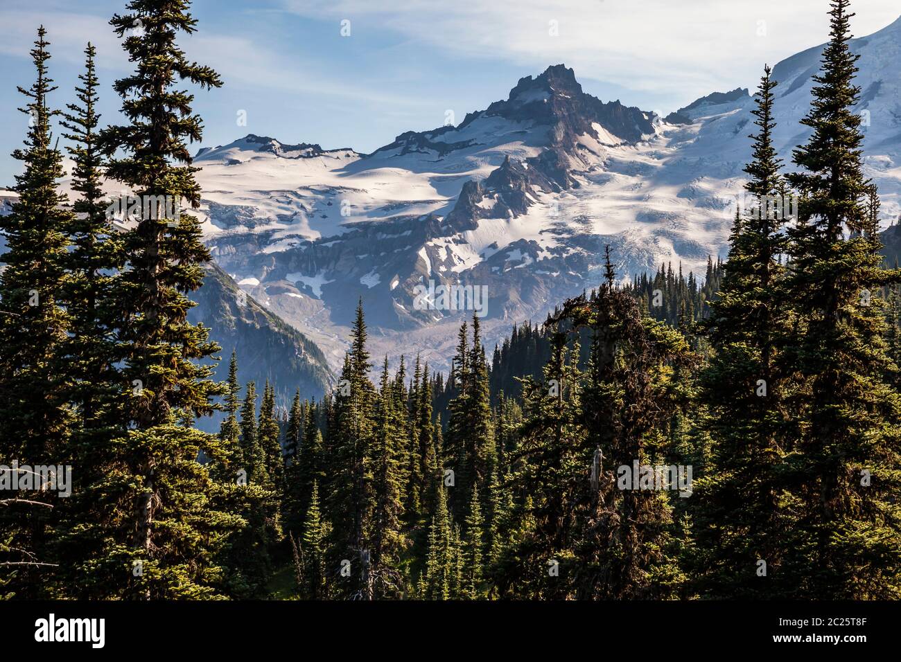 Blick über einen Wald auf Little Tahoma vom Burroughs Mountain Trail, Mount Rainier National Park, Washington, USA. Stockfoto