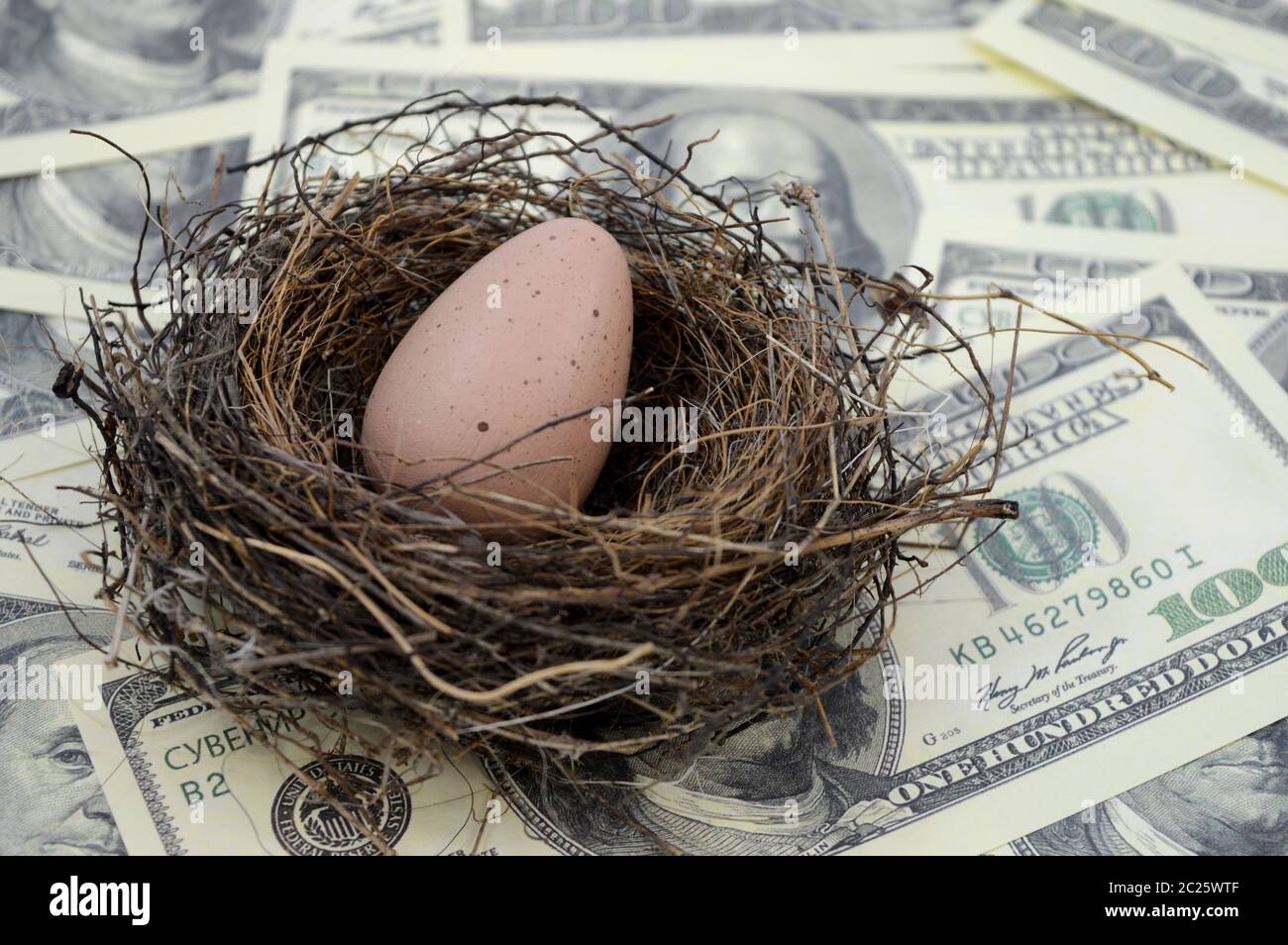 Ein Vogelnest und Ei übertauften eine Fülle von Bargeld für eine Vielzahl von finanziellen Konzepten. Stockfoto