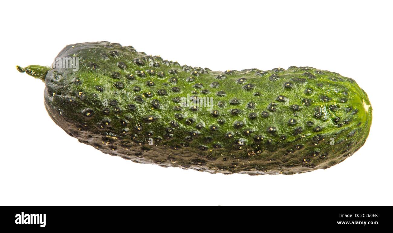 Reif grüne Gurke mit Pickel. Auf einem weißen Stockfotografie - Alamy