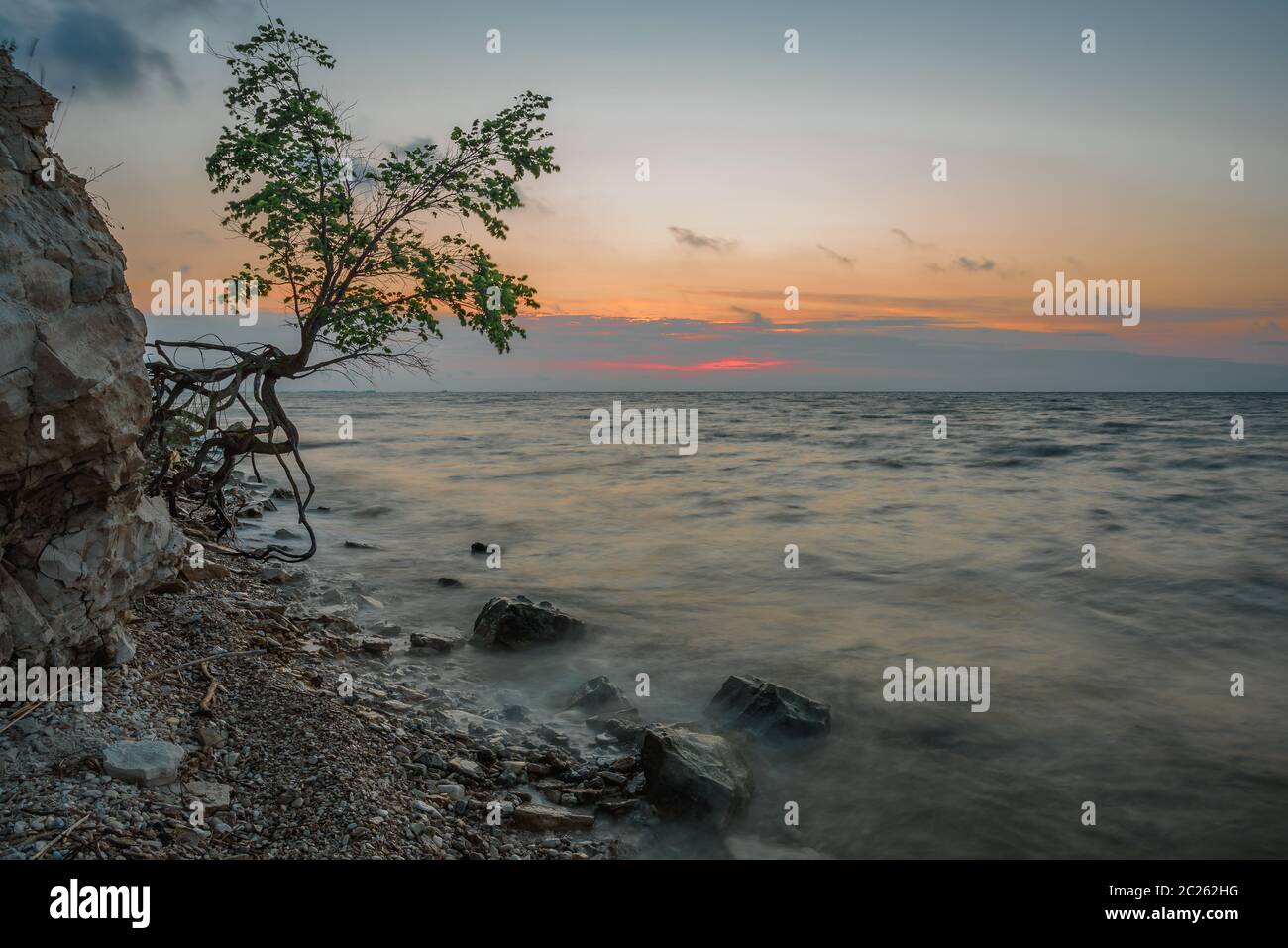 Einzigen Baum auf der felsigen Ufer im Sommer Sonnenaufgang Stockfoto