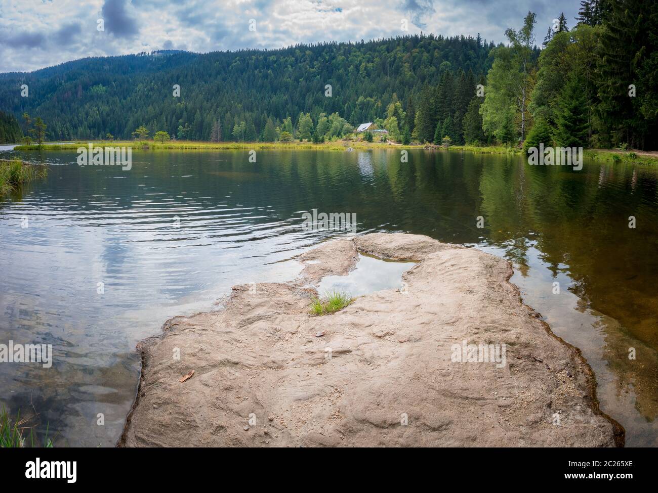 Kleiner Arbersee im bayerischen Wald Stockfoto