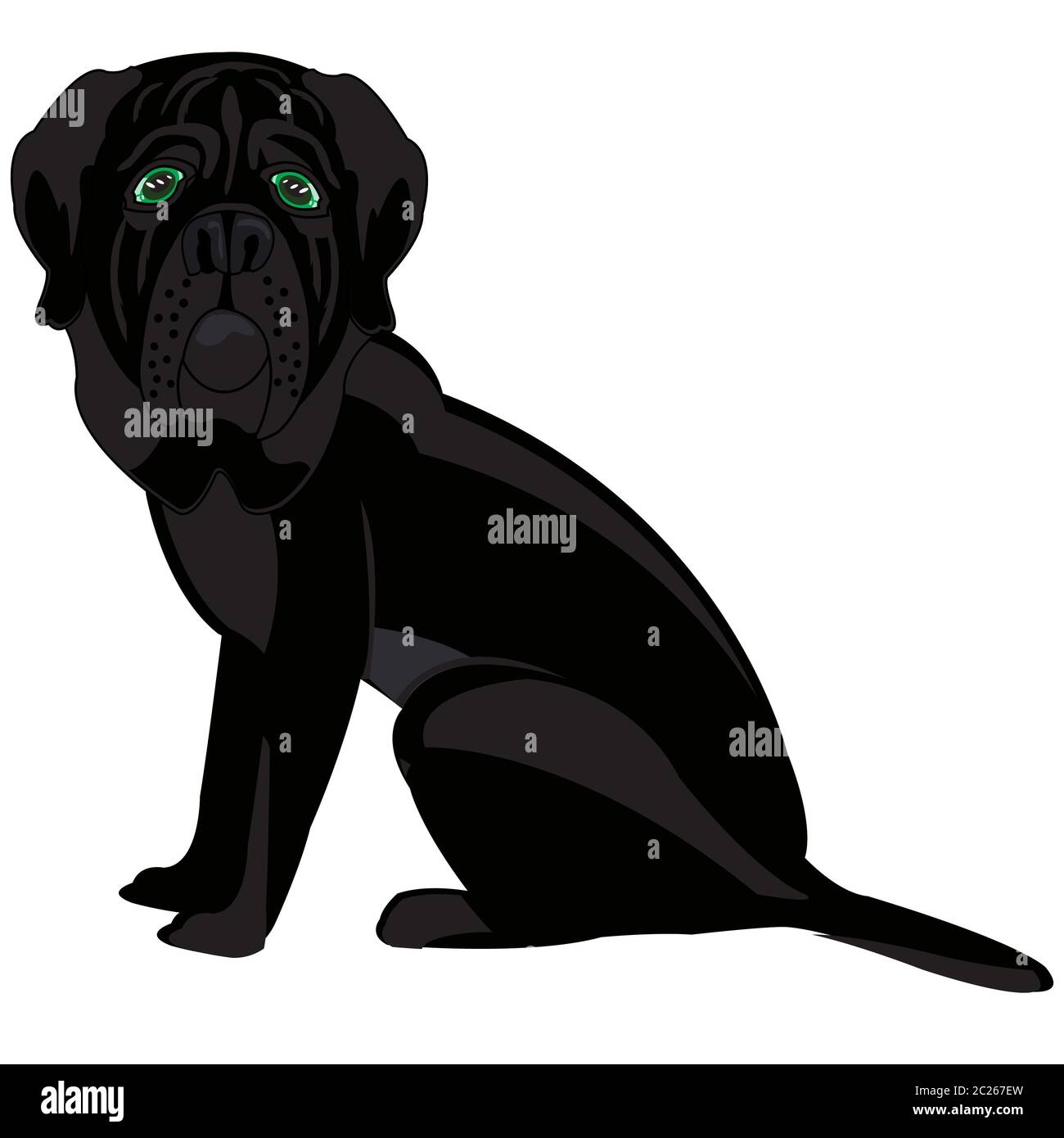 Vector Illustration der Hund der sortieren Mastiff schwarze Farbe Stockfoto