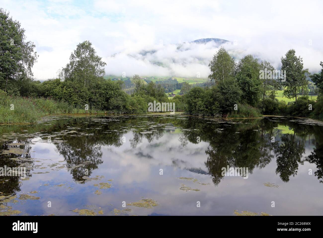 Naturnahes Wasser bei Hollersbach im pinzgau Stockfoto