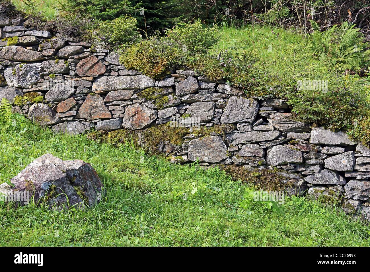 Natursteinmauer im pinzgau Stockfoto
