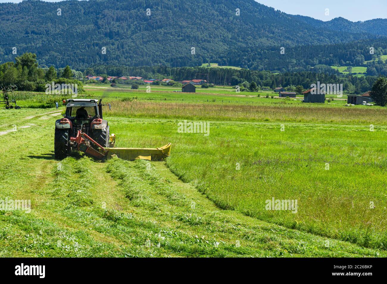Zettwender Fotos und Bildmaterial in hoher Auflösung Alamy