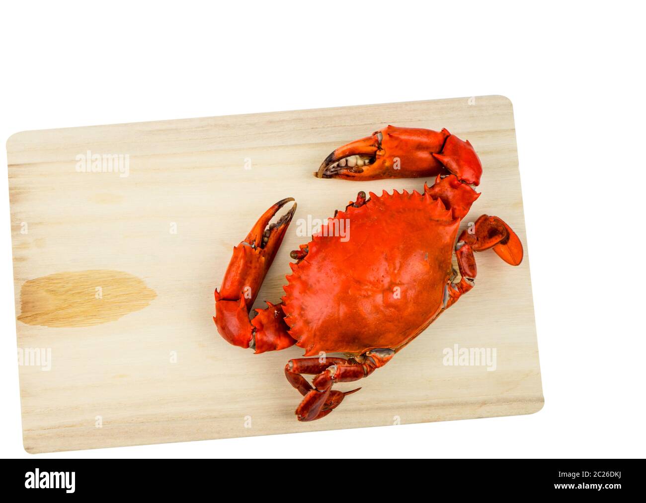 Ansicht von oben auf Scylla serrata. Eine gedünstete Krabbe auf Holzbrett isoliert auf weißem Hintergrund mit Kopierraum. Meeresfrüchte-Restaurants Konzept. Stockfoto
