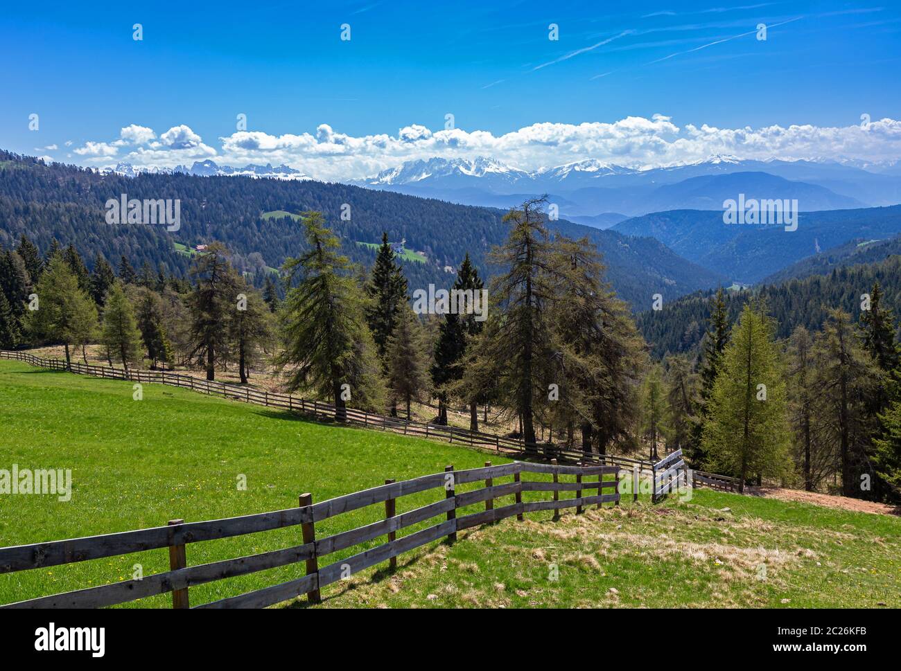 Blick von Giogo di Luogosanto, Moeltner Joch, in die Dolomiten, Südtirol Stockfoto