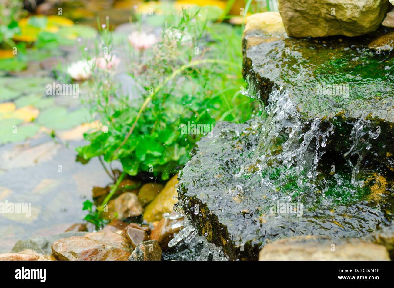 Naturteich im Garten, bio Garten mit watterfall und Seerosen