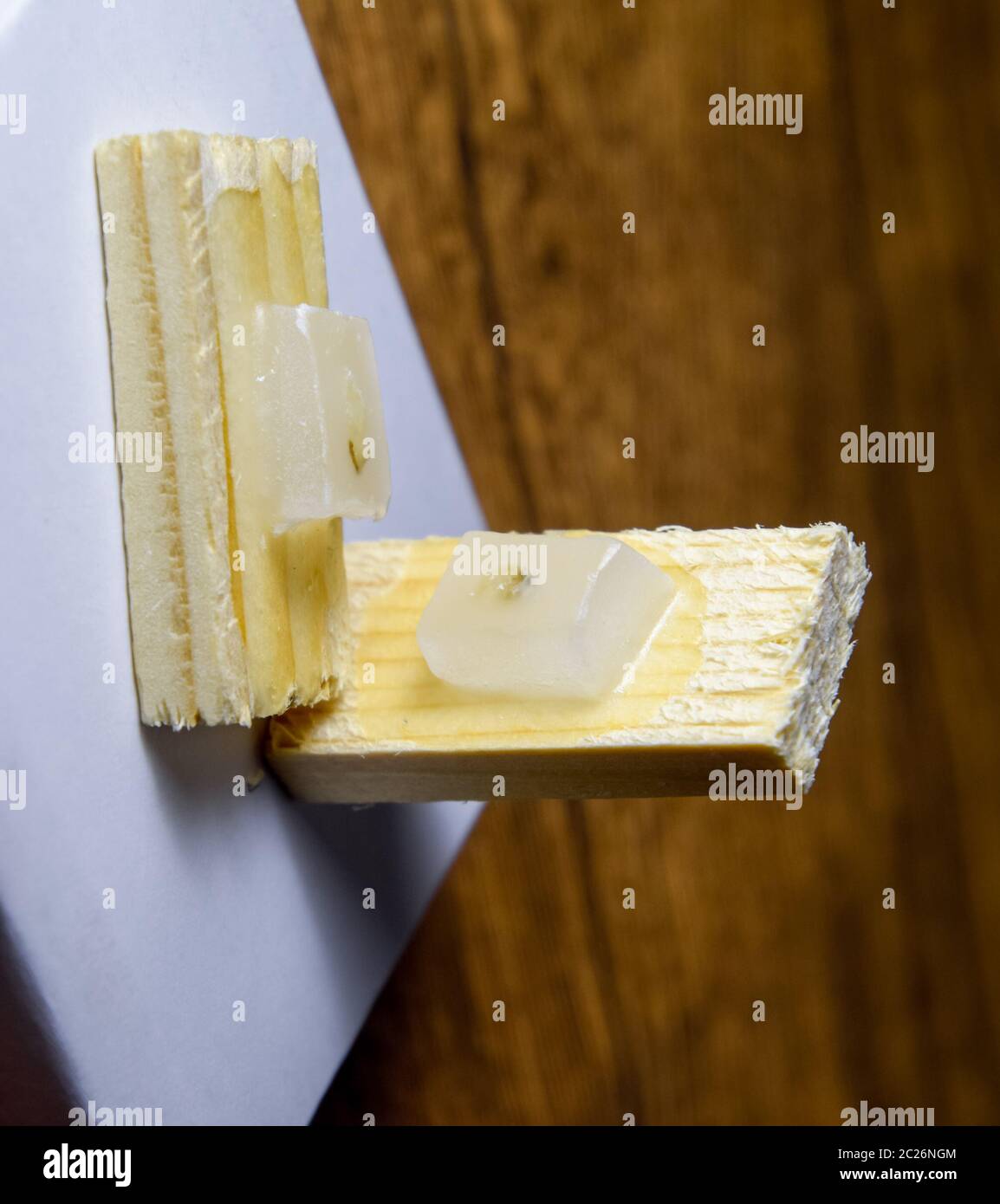 Paraffinblöcke mit Krebs Proben, Proben für die histologische Untersuchung des Tumors. Teile eines Tumors für tiefe Forschung von Krebszellen. Stockfoto