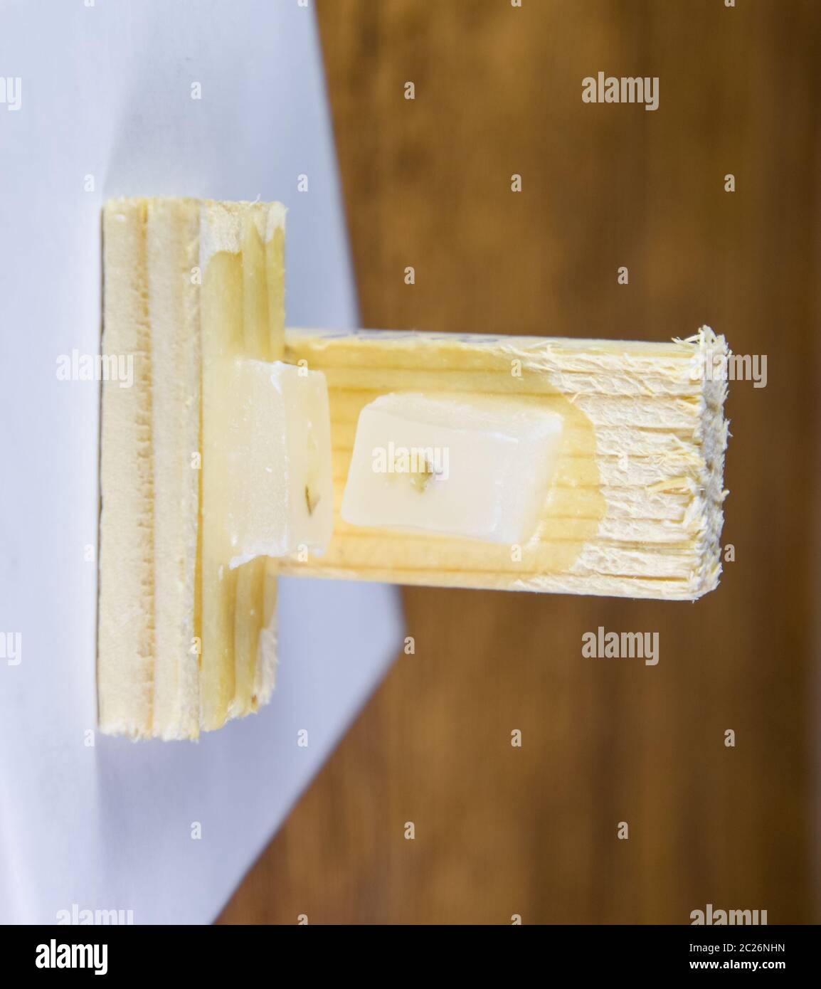 Paraffinblöcke mit Krebs Proben, Proben für die histologische Untersuchung des Tumors. Teile eines Tumors für tiefe Forschung von Krebszellen. Stockfoto
