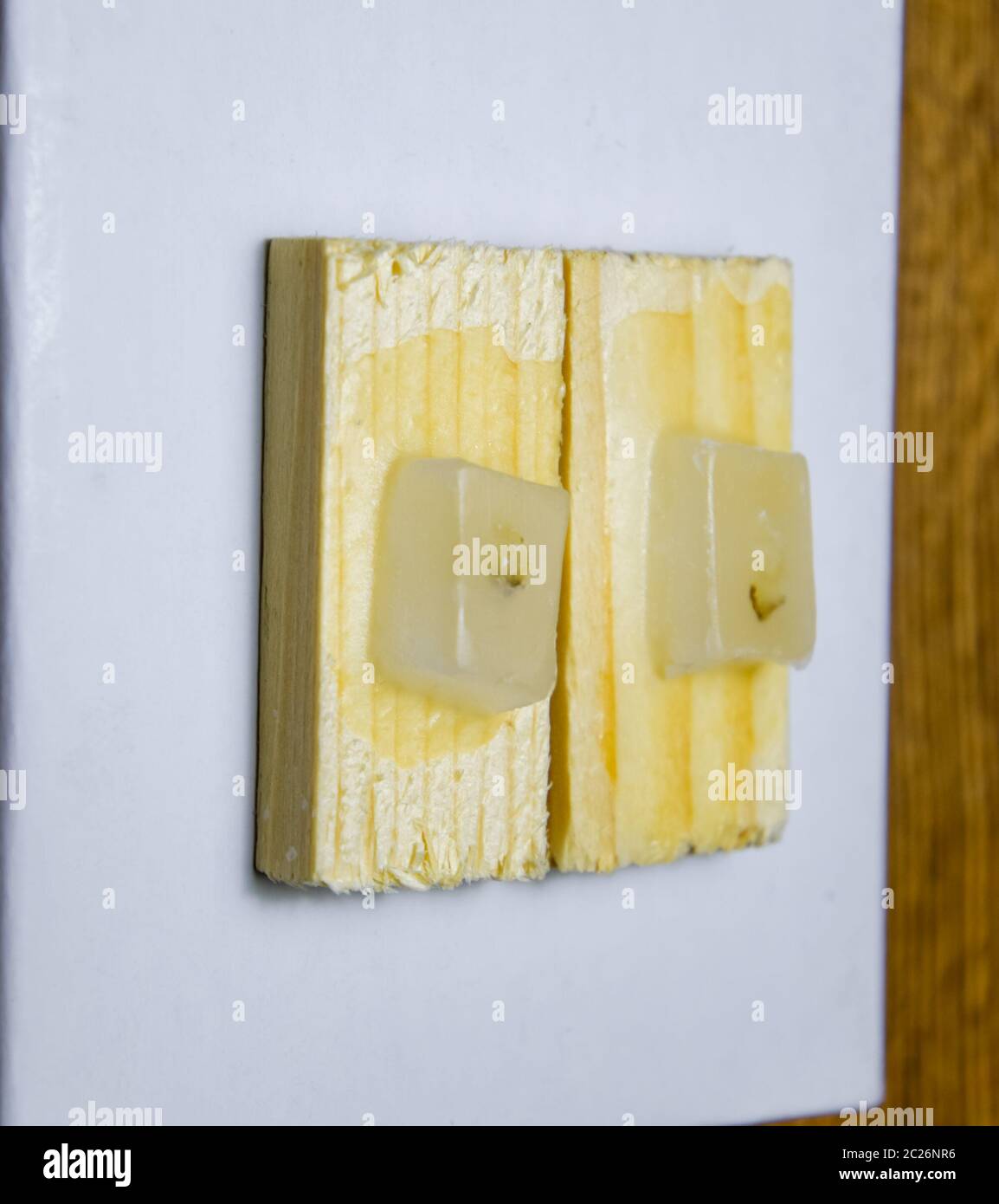 Paraffinblöcke mit Krebs Proben, Proben für die histologische Untersuchung des Tumors. Teile eines Tumors für tiefe Forschung von Krebszellen. Stockfoto