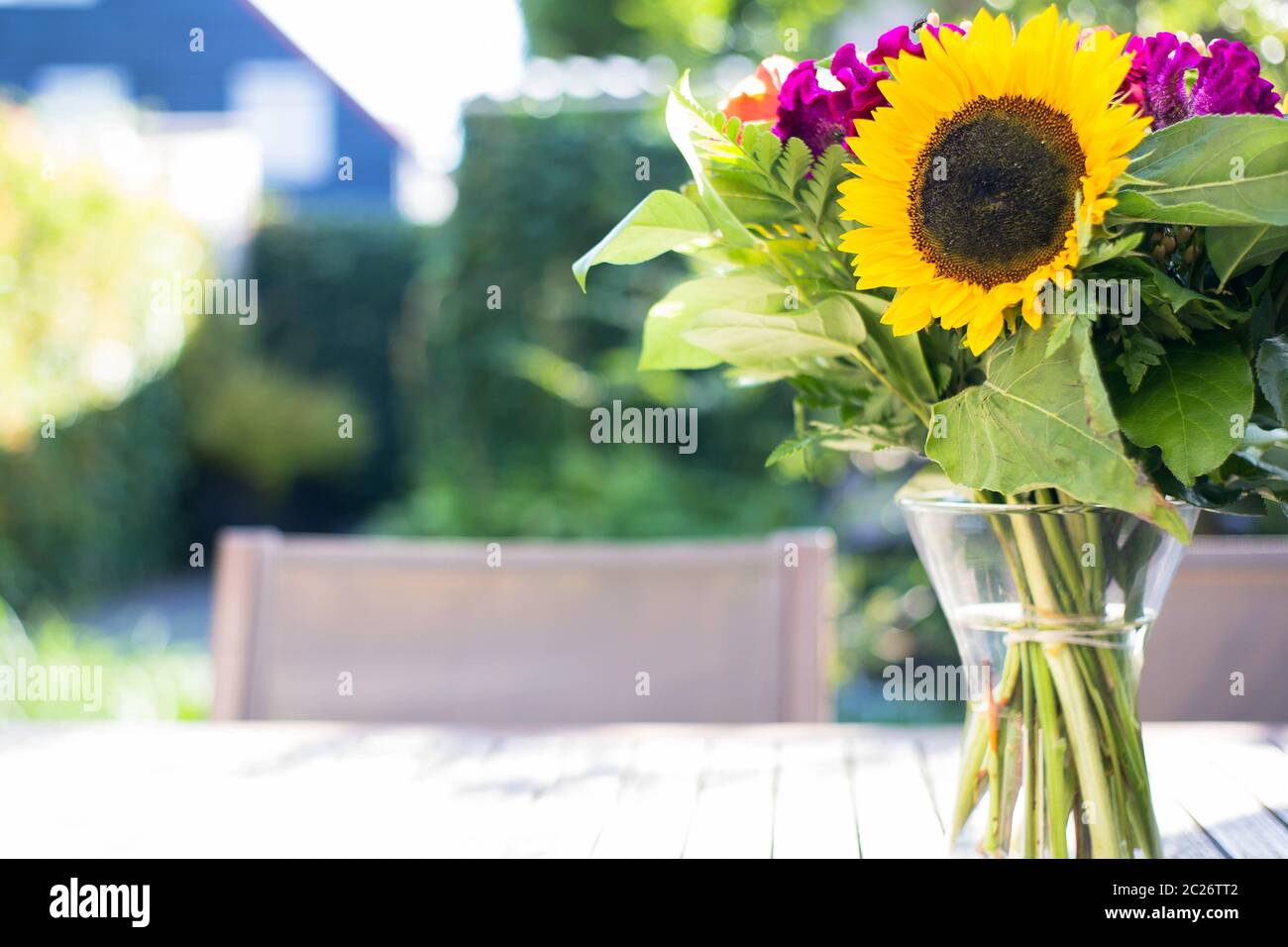 Bunte helle Sonnenblumen in Vase in einem grünen Garten auf Holztisch. Selektiver Fokus. Bunte Stockfoto