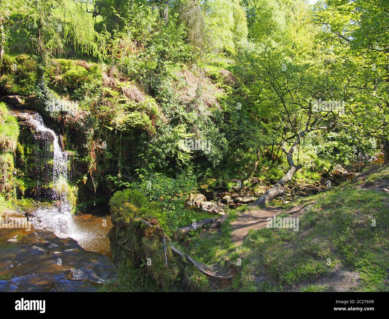 lumb Hole fällt in der Nähe von Pecket Well in calderdale im Westen yorkshire einen Wasserfall in Wald bei Crimsworth Dean Stockfoto