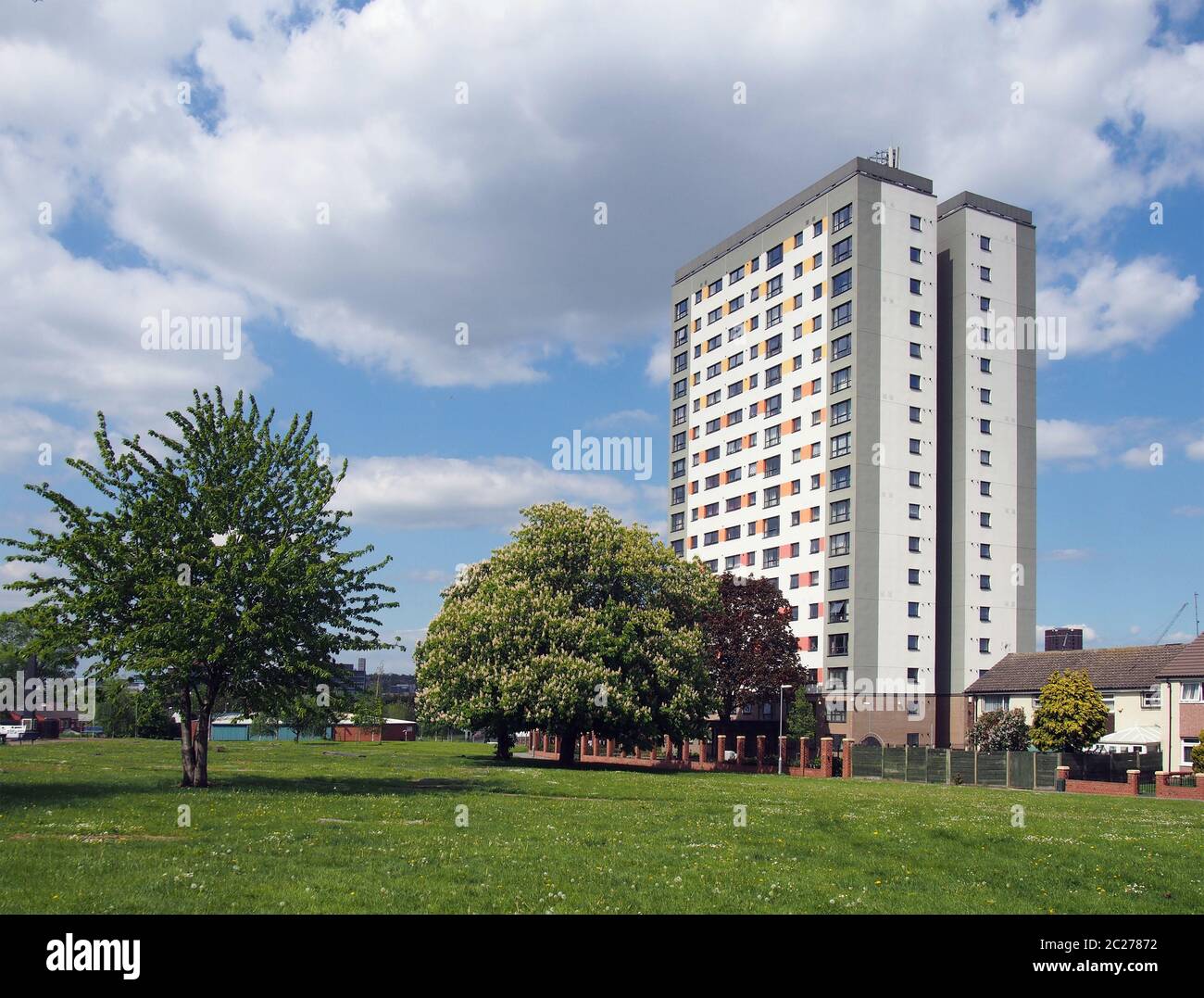 holbeck Moorgebiet in leeds mit Quellbäumen, umgeben von Wohnraum und einem großen öffentlichen Wohnturm Block meynell Höhen bui Stockfoto
