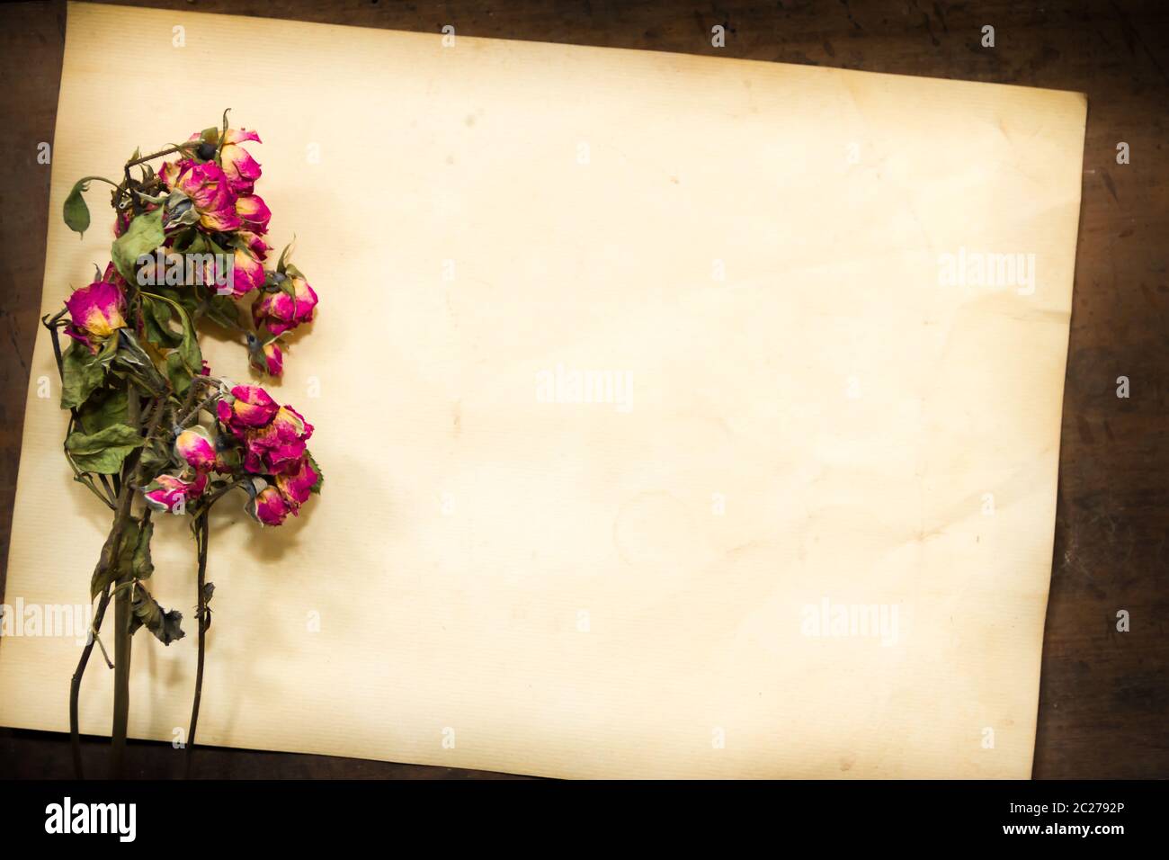Konzept der vergehenden Zeit ohne verwelkte Blumen auf alte Papiere Stockfoto