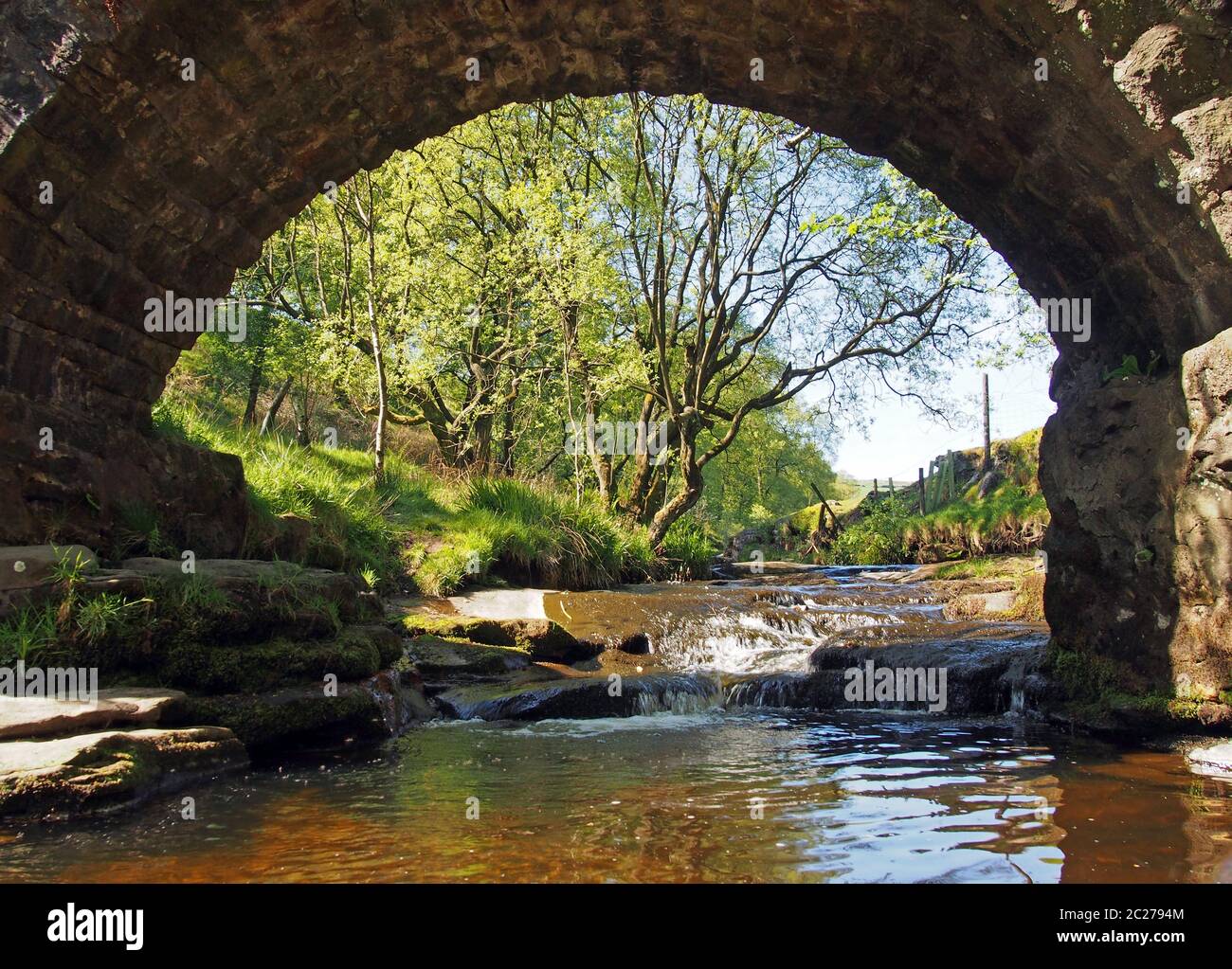 ta Blick unter der alten Packhorse Brücke bei Lumb Loch fällt in Wald bei crimsworth Dean in der Nähe Pecket Brunnen in calderdale West yor Stockfoto