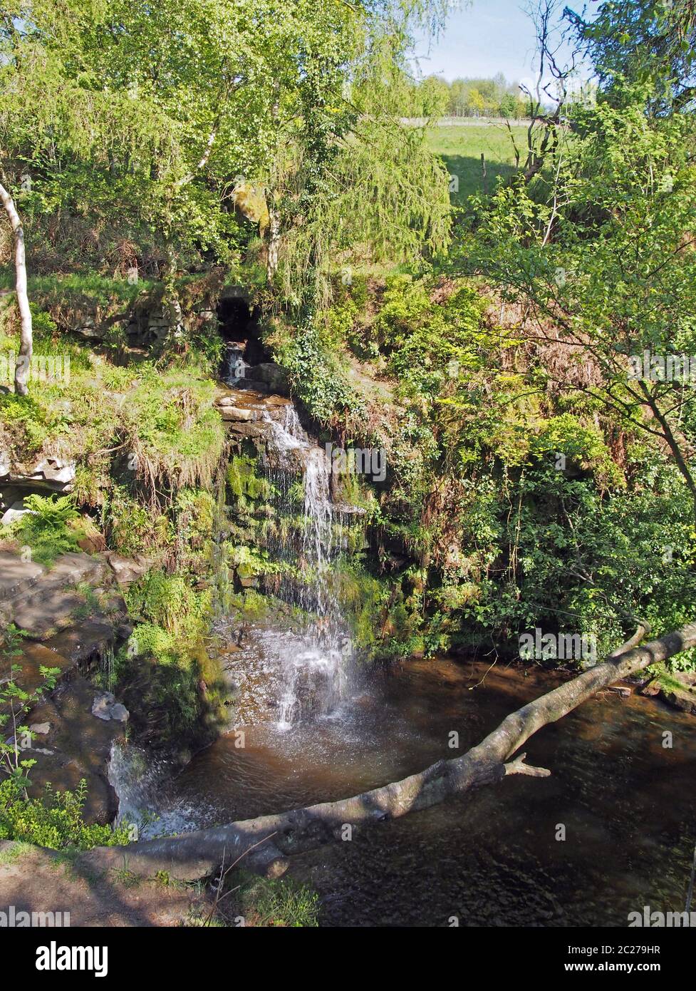 lumb Hole fällt in der Nähe von Pecket Well in calderdale im Westen yorkshire einen Wasserfall in Wald bei Crimsworth Dean Stockfoto
