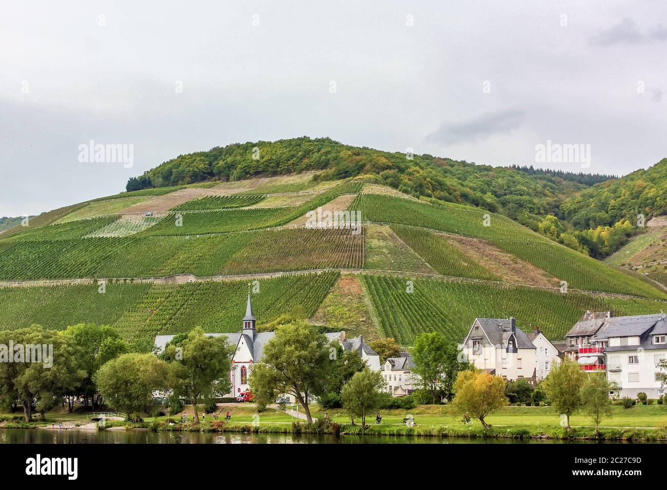 Am Ufer der Mosel, Deutschland Stockfoto