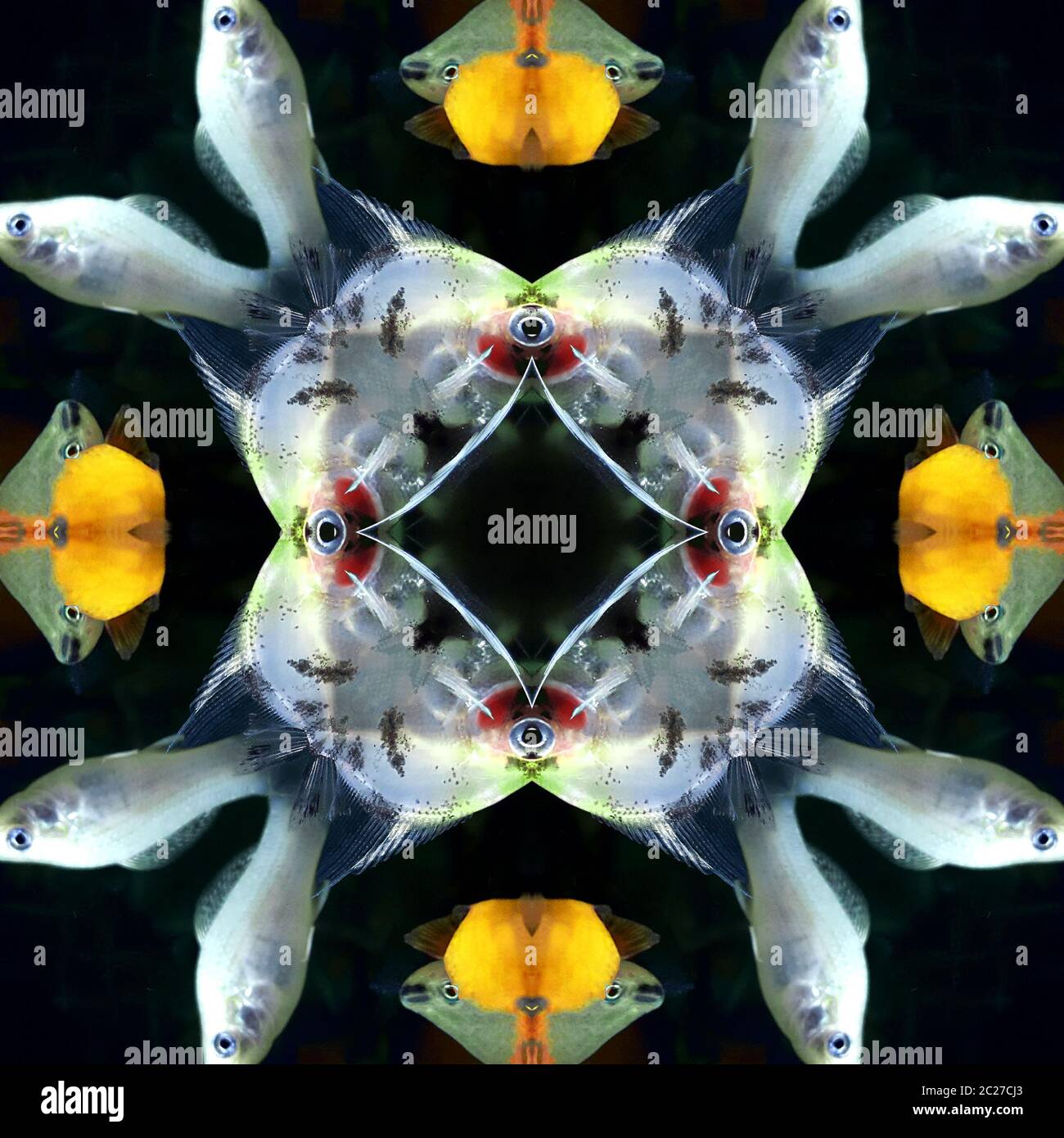 Nahtlose symmetrische Muster abstrakte Fische in der Ozean-Textur Stockfoto