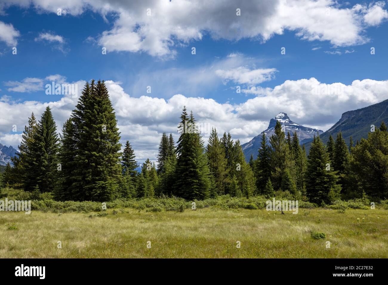 Landschaft des Banff National Park von Kanada Stockfoto