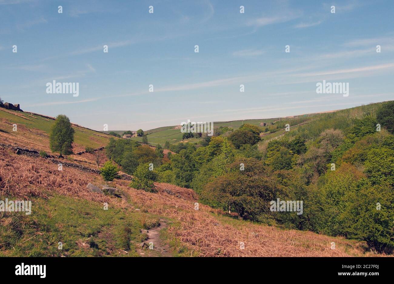 Ein Blick auf grünen Frühling Wald Baldachin in hardcastle Felsen West yorkshire aus Moor über mit sonnenbeschienenen blauen Himmel Stockfoto