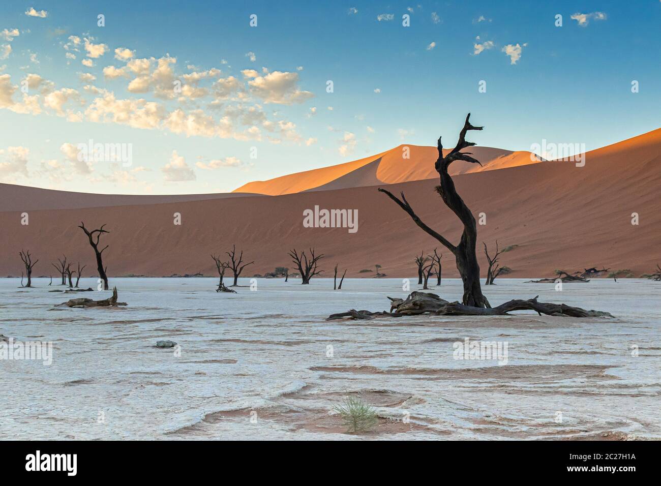 Deadvlei im Namib-Naukluft Nationalpark von Namibia Stockfoto