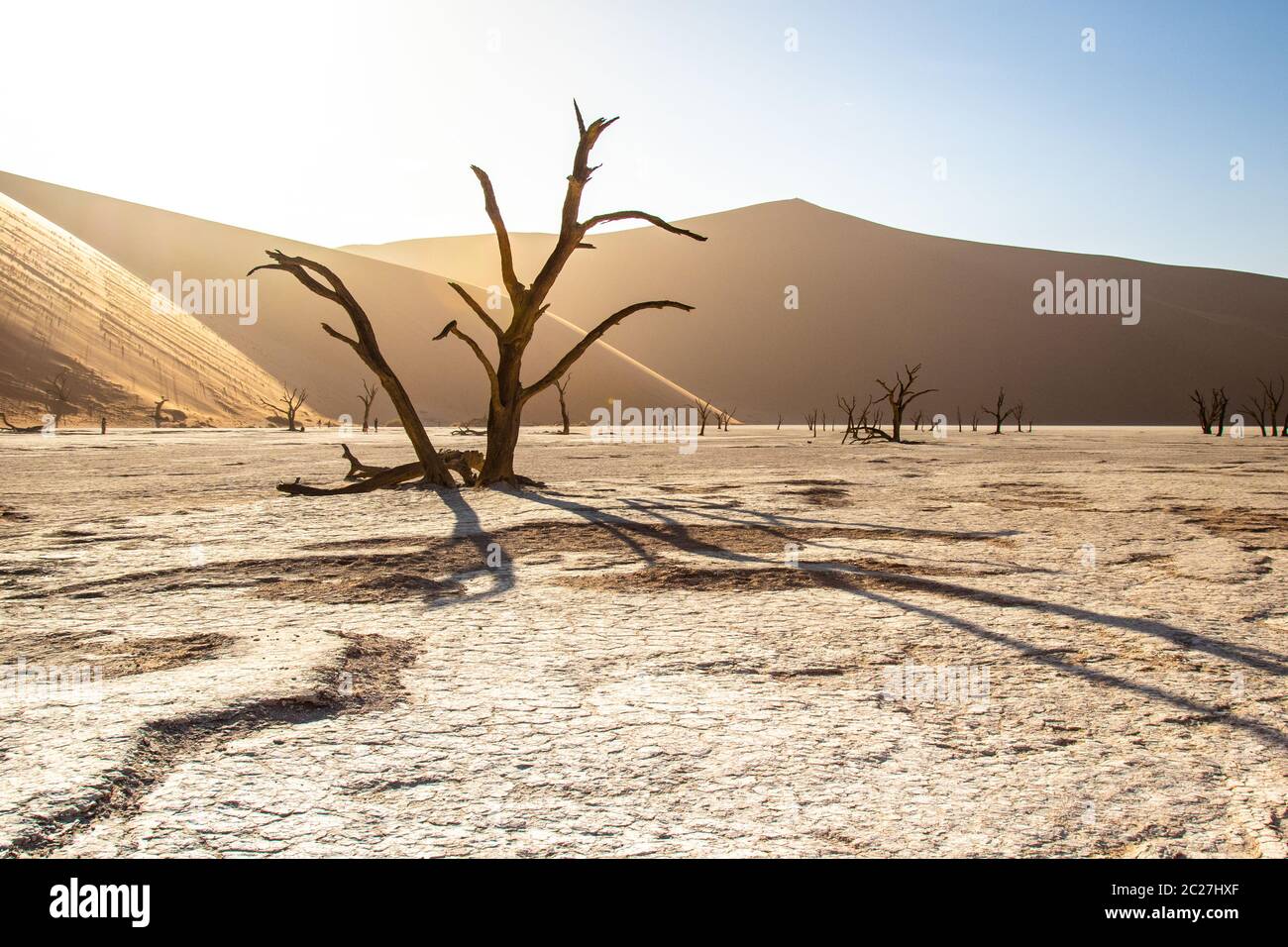 Deadvlei im Namib-Naukluft Nationalpark von Namibia Stockfoto