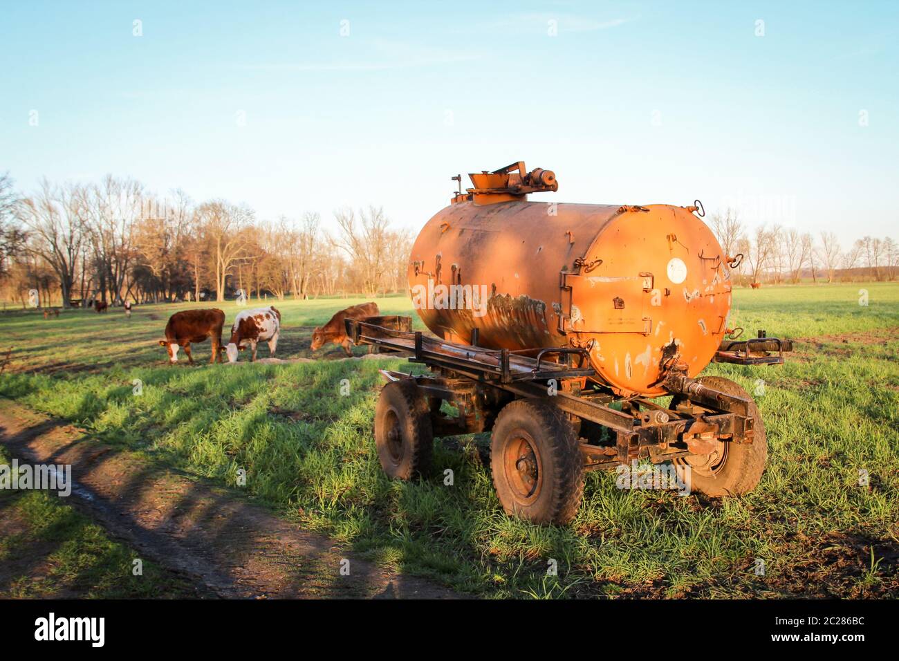 Ein Wassertanker für die Wasserversorgung der Kühe. Stockfoto