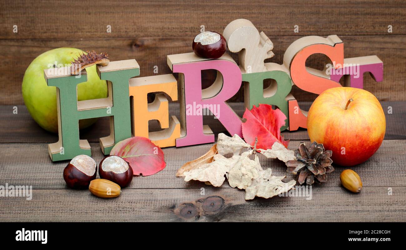 Dies ist eine Herbstdekoration mit Kastanien, Äpfeln und anderen Dingen Stockfoto Dies ist eine Herbstdekoration mit Kastanien, Äpfeln und anderen Dingen Stockfoto