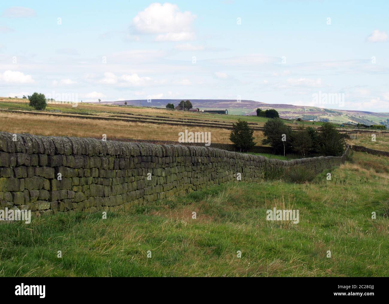 Trockensteinmauer in Yorkshire dales Landschaft mit Feldern und pennine Hügel am Horizont Stockfoto