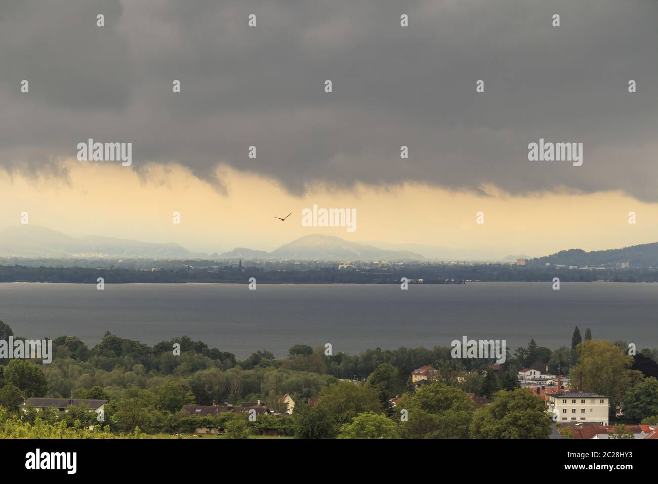 Bodensee Ansicht, Stimmungsbild mit Wolken, Sonne und Vogel Stockfoto