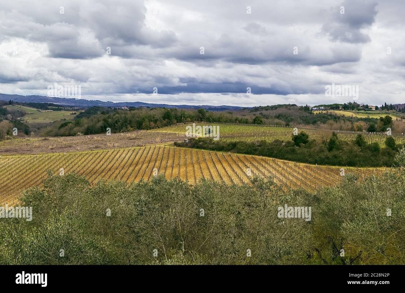 Landschaft um Monteriggioni, Italien Stockfoto
