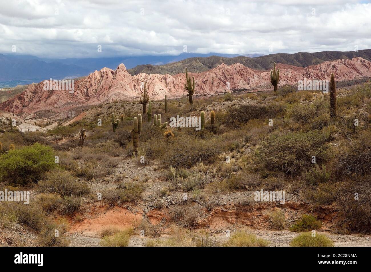 Landschaft am Los Colorados, dem bunten Tal in der Provinz Jujuy im Norden Argentiniens Stockfoto