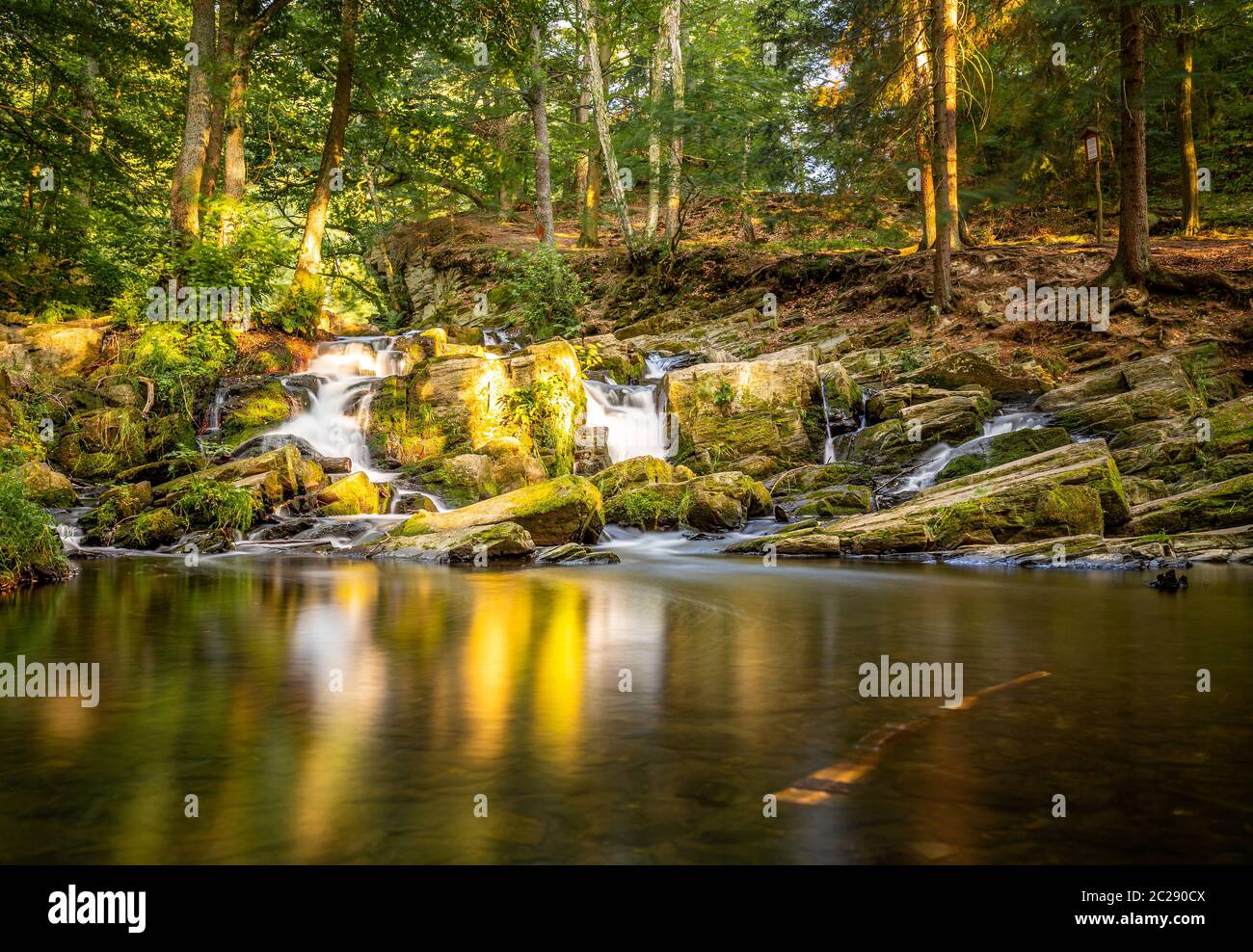 Der Selke Wasserfall im Harz Stockfoto