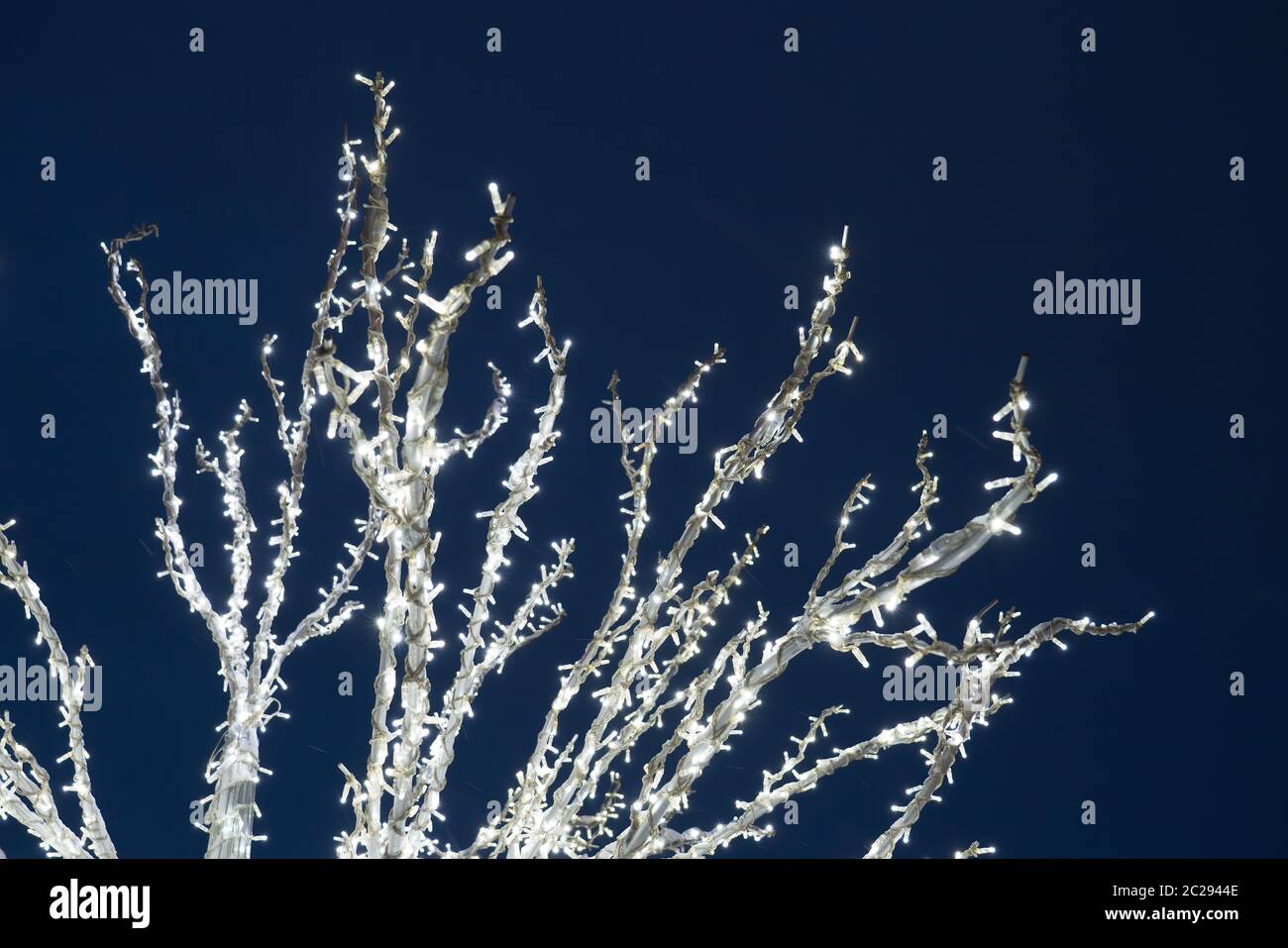 Winter Baum mit Lichtern und Dekorationen, Tromso, Nördliches Norwegen Stockfoto