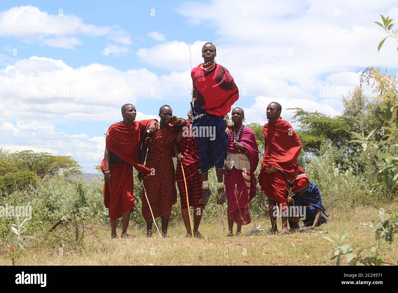 Maasai-Springen Stockfoto